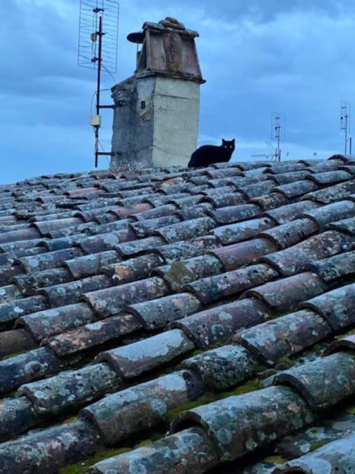 Appartamento Viola 27 Perugia Ngoại thất bức ảnh